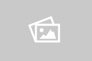 Alltagsunterstützung lt. § 45a SGB XI